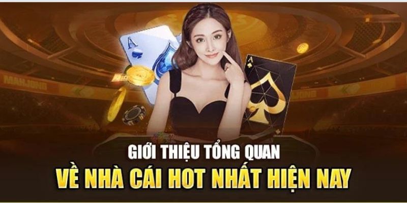 Giới thiệu 8KBET từ những nét cơ bản nhất